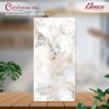 Gạch khổ lớn 60 x 120 đá bóng kính